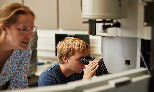 Dr Elisabeth Francis and Thomas Woodward examine a low alloy steel specimen in the analytical transmission electron microscope