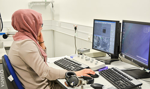 Researcher working at her computer in a lab