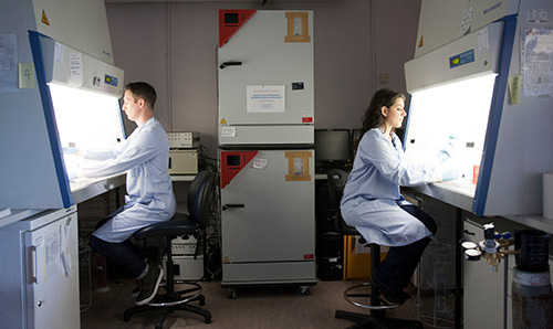 Two biomaterials students using lab computers