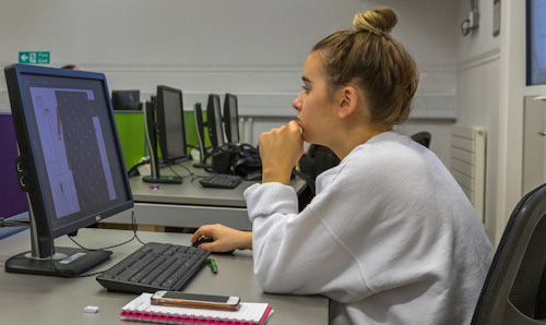 Female student looking at computer screen