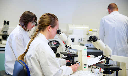 Two female students in lab coats looking through microscopes